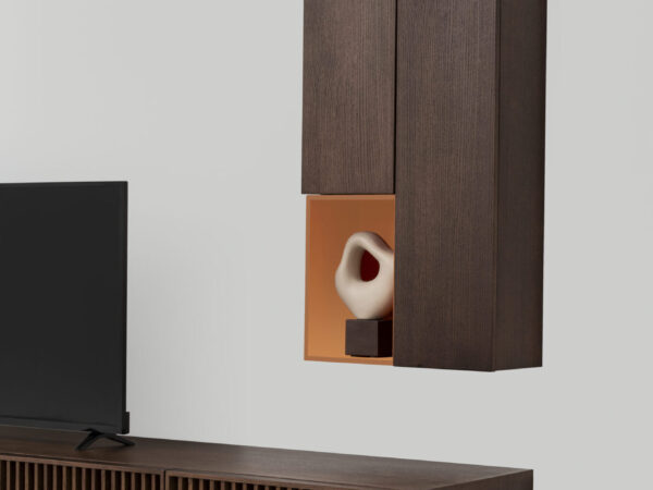 MONOLOG TV Modul