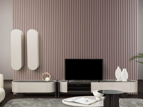 FIN TV Set